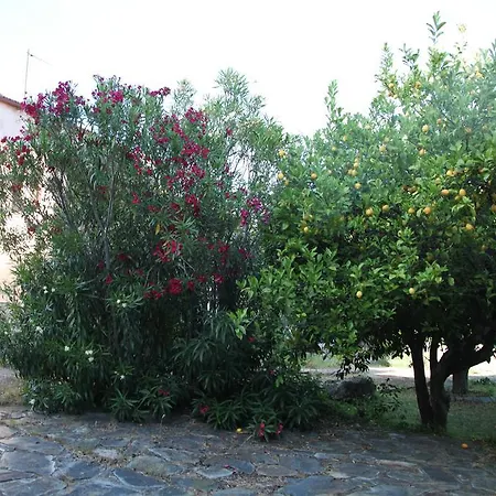 Casa Rural 